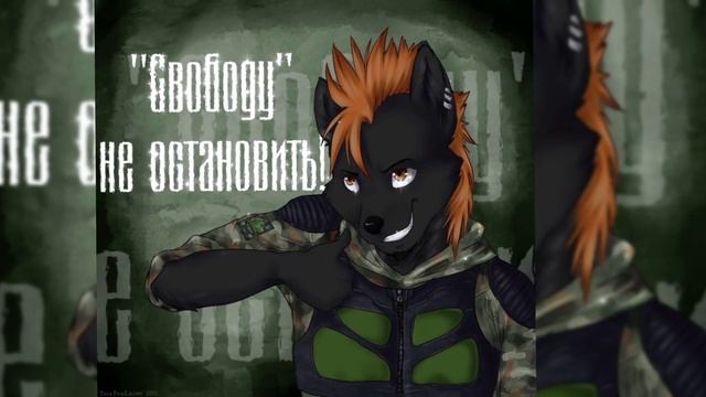 Фурри сталкер под песню "Сталкер история из преисподней, автор STALKER BLUS" смотреть онлайн