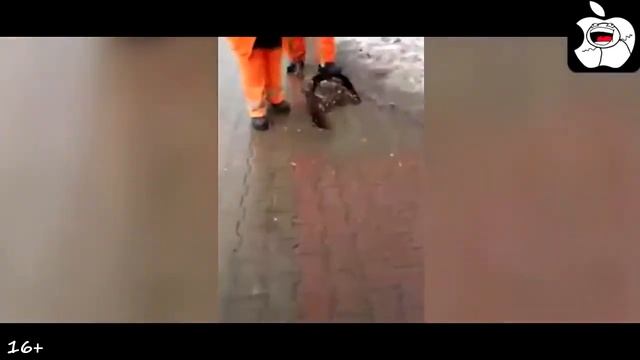 НОВЫЕ ПРИКОЛЫ 2017, ЛУЧШИЕ РУССКИЕ ПРИКОЛЫ, СМЕШНЫЕ ВИДЕО 2017 7 смотреть онлайн