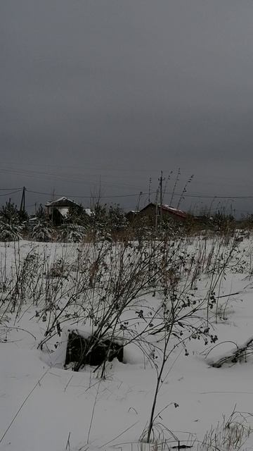 Снегопад 29 апреля. смотреть онлайн