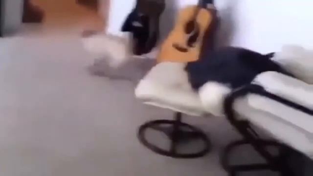 Самые смешные приколы 2016 #54 Ржака до слез смотреть онлайн