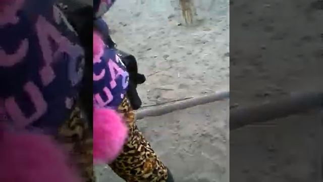 Распаковка чипсов смотреть онлайн