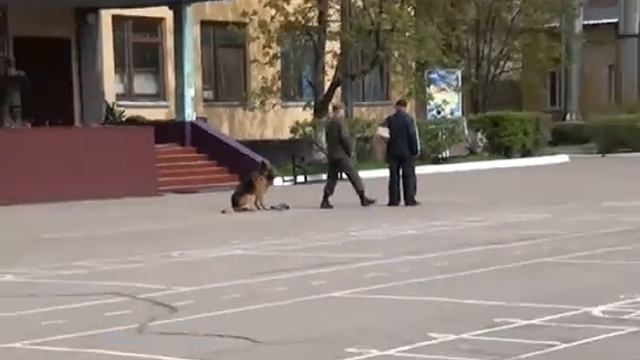 День відкритих дверей у ВЧ 3022 смотреть онлайн