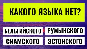 Эрудиция или везение? Только 1 из 10 проходит этот тест без ошибок! интересные тесты на эрудицию