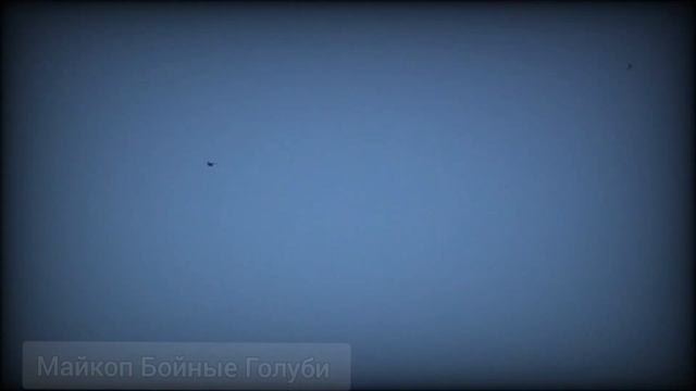 Сокол Сапсан атакует голубей!!!Falcon Peregrine falcon attacks pigeons!!! смотреть онлайн