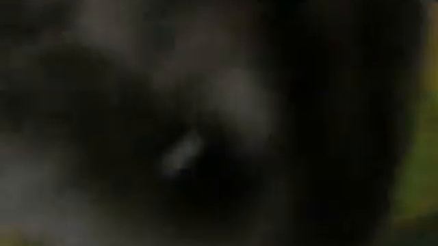 Хомяк на летающей тарелки смотреть онлайн