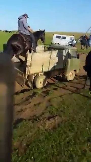 Пари смотреть онлайн