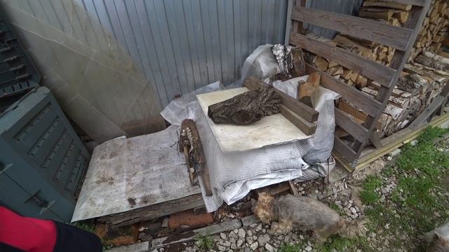 Как победить поросль сирени ? Почему не цветёт баярышник ? Заваливается туя. смотреть онлайн