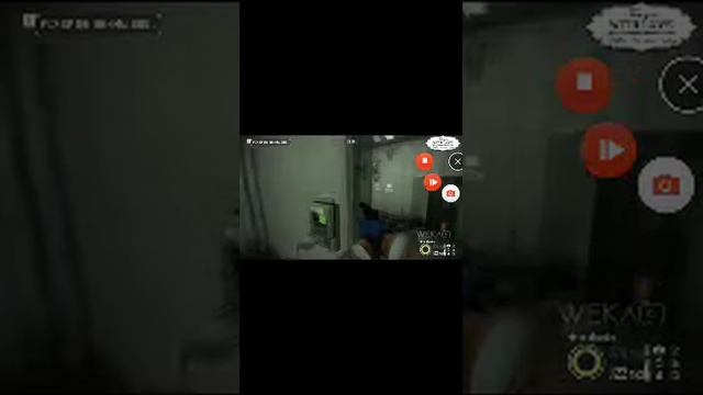 Майнкрафт пе,приколы с котами,и видео компота смотреть онлайн