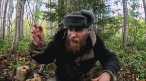 Там, где растут мухоморы