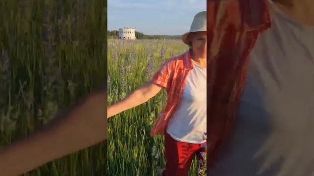 Архстояние детское смотреть онлайн