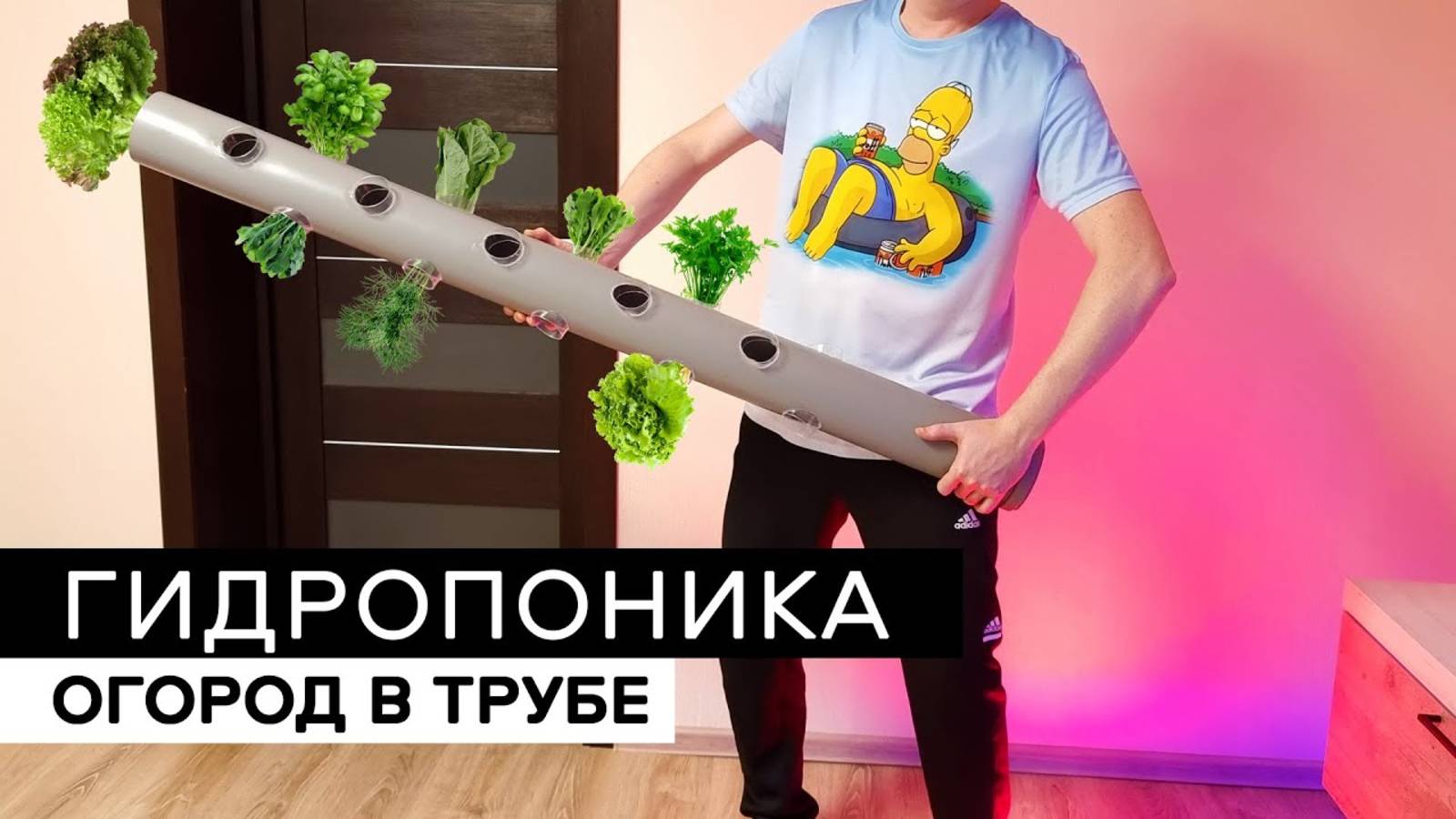 Вертикальная гидропоника в квартире, своими руками смотреть онлайн