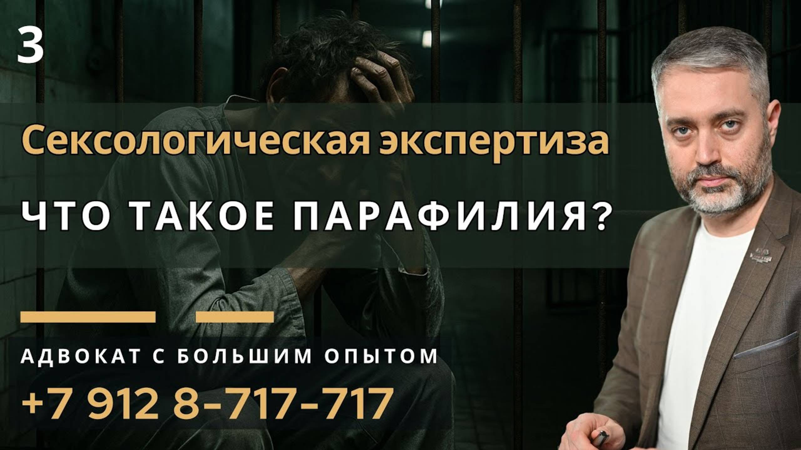 Защита по ст. 132 УК | Парафилии: как их приписывают без доказательств - сексологическая экспертиза смотреть онлайн