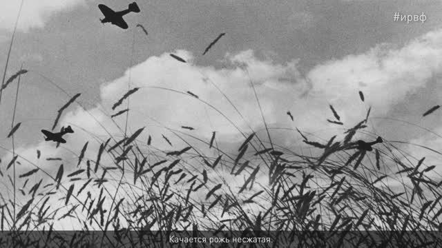 Юлия Друнина. «Качается рожь несжатая»