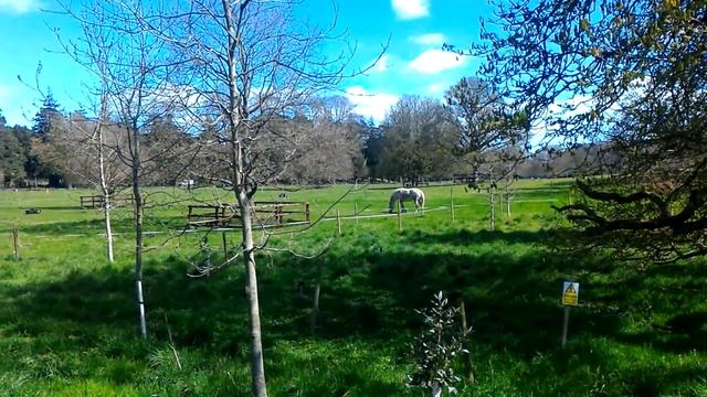 Phoenix Park - april 2016! Феникс парк,едем на фестиваль Японской культуры! смотреть онлайн