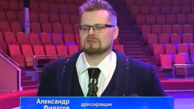 В Ярославль приехала одна из старейших цирковых династий смотреть онлайн