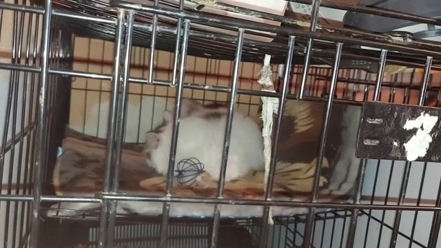 После выставки смотреть онлайн