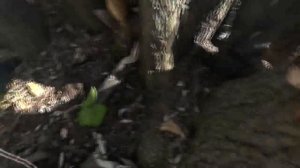 Оплошность или пренебрежение самосохранением?  Пащенко Владимир пострадал. 14.09.2016.