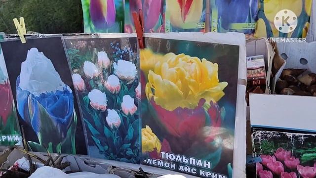 ЯРМАРКА ЦВЕТОВ / КАМЧАТСКАЯ РЫБА смотреть онлайн
