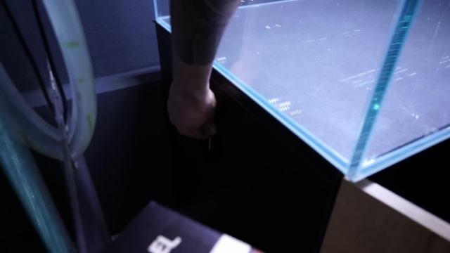 Aquael UltraScape 90 Vorstellung!
