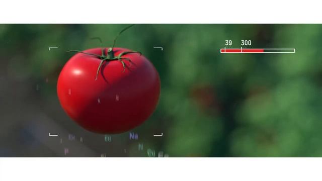 Преимущества закрытого грунта смотреть онлайн