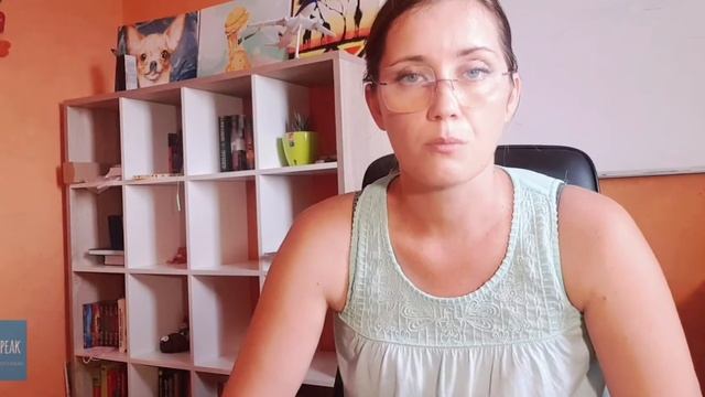 DO YOU SPEAK ENGLISH ИЛИ ЧТО ДЕЛАТЬ, ЕСЛИ ТЕБЯ НЕ ПОНИМАЮТ))