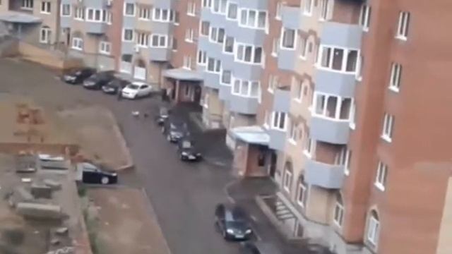 два барана по среди города уфа смотреть онлайн