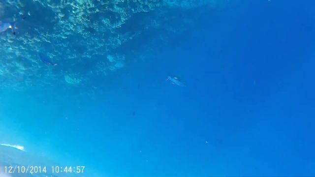 Отец и SJCAM смешно смотреть онлайн