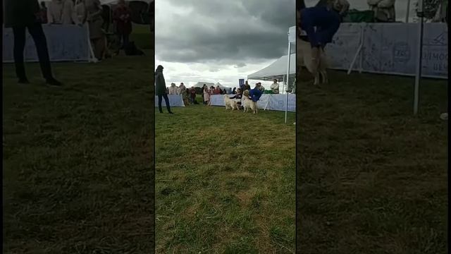 15 сентября 2019 г. смотреть онлайн