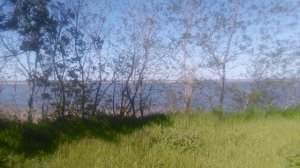 На берегу реки