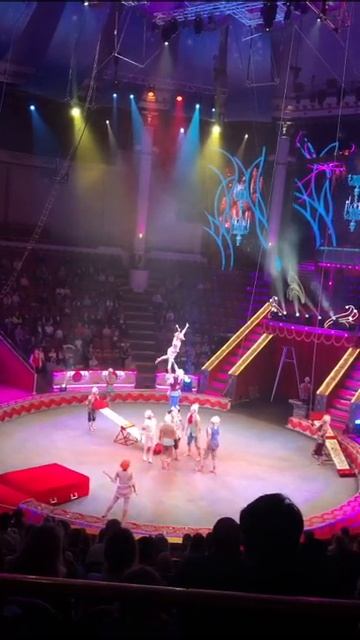 Никулинский цирк🦋🍓 смотреть онлайн