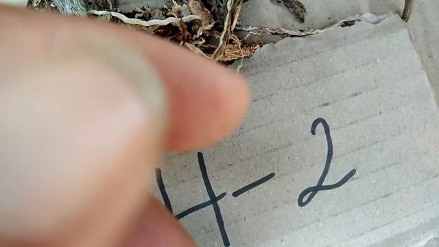 Ngày 28/10/ 2018. Chia sẻ kiếm easo.đã hết . смотреть онлайн