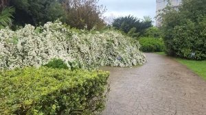 Из Ташкента в Анталию через Сочи. Самый сложный полет в моей жизни, сели в Анкаре