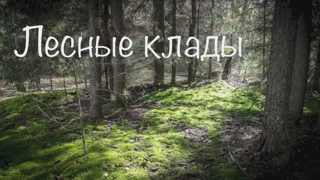 Лесные клады 3 смотреть онлайн