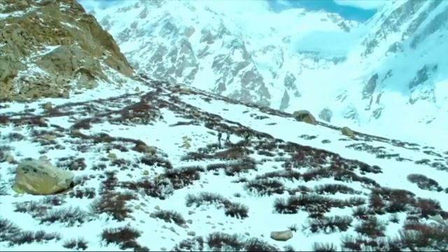 Канал 309 - Телеканал 