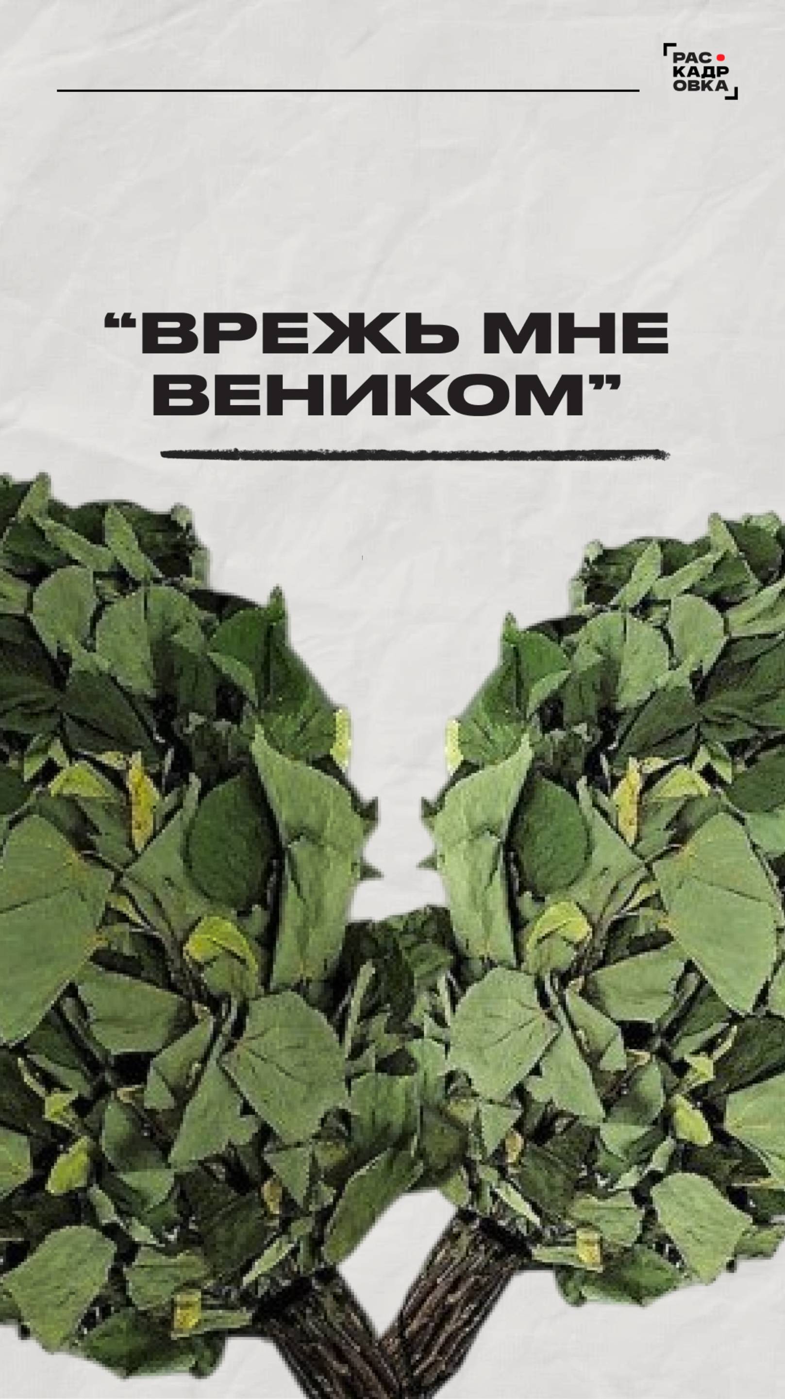 "Врежь мне веником!" Полный выпуск смотрите на канале "Раскадровка" смотреть онлайн