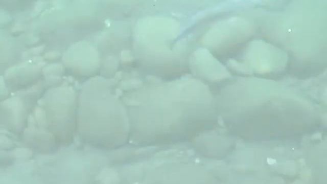 Клип Даркова Романа на песни М. Прохорова - Beldibi-2011