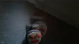 Фильм "Ловушка". Часть 2