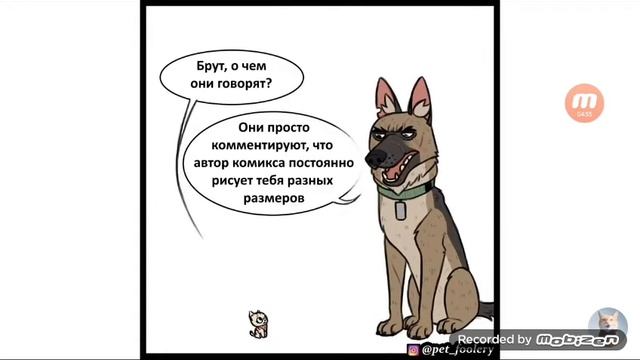 Пикси и Брут 2 серия мемозг смотреть онлайн