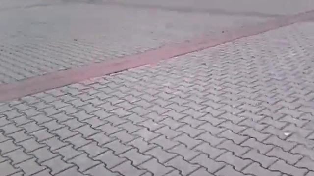 Первая лошадка Schleih смотреть онлайн