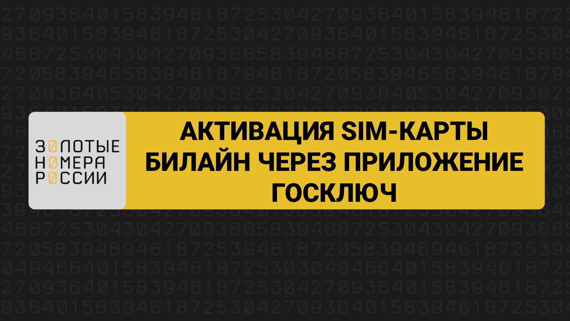 Активация сим-карты билайн через Госключ смотреть онлайн