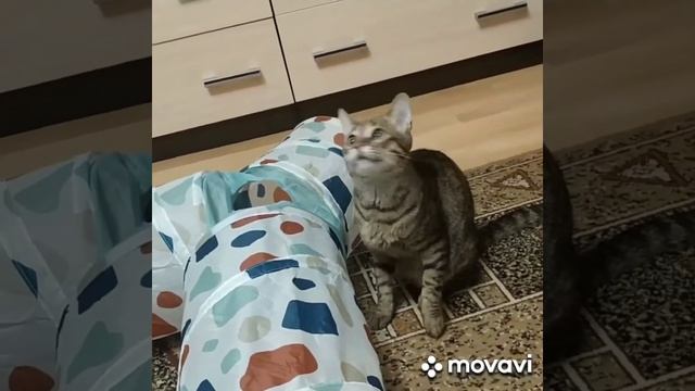 Изя_апрель 2021 смотреть онлайн