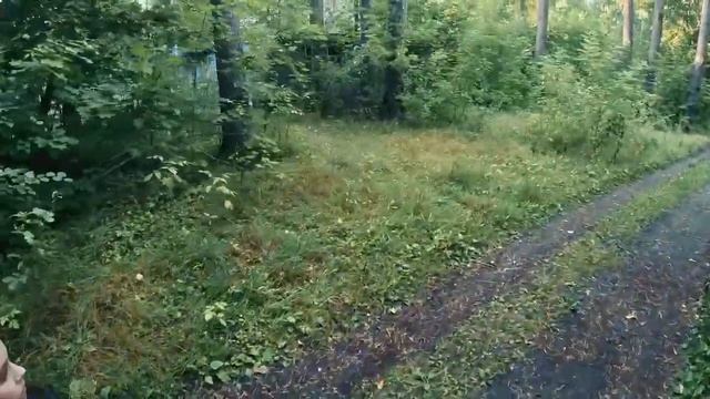 ДЕВОЧКА ОБМАНУЛА МАКСА ВАЩЕНКО.МАКС ХОТЕЛ ЕЙ ПОМОЧЬ ЗАЧЕМ ОНА ЭТО СДЕЛАЛА? смотреть онлайн