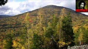 Поисково-спасательная служба.  Страшные истории на ночь 🫣🫣🫣