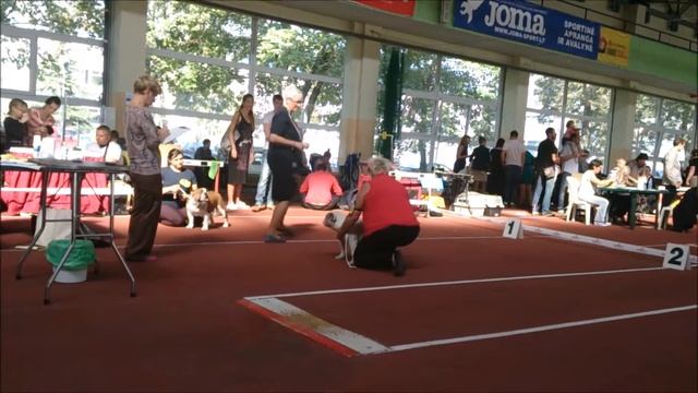 выставка смотреть онлайн