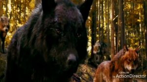 ~Сумерки~Волки~Wolf's~Под песню Bloody Sky