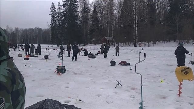 Форель клюёт на все виды приманок. Спорт-зона. Клёвое место Лосиный остров.
