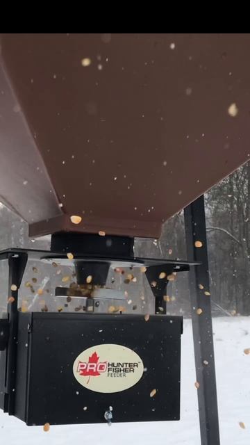 Автоматическая кормушка для охот хозяйсв российского производства смотреть онлайн