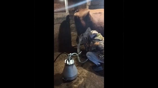 Интернет-фестиваль смотреть онлайн