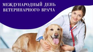 Международный день ветеринарного врача