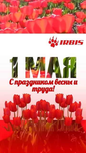 С праздником, друзья! смотреть онлайн